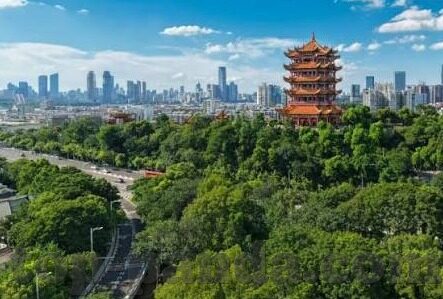 足球比分 - 百度-从足球比分-百度看数据时代的足球观赛新体验